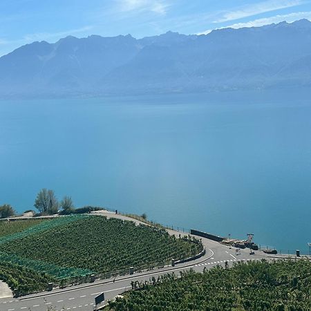 Room With 360° View Overlooking Lake Geneva And Alps Puidoux Экстерьер фото