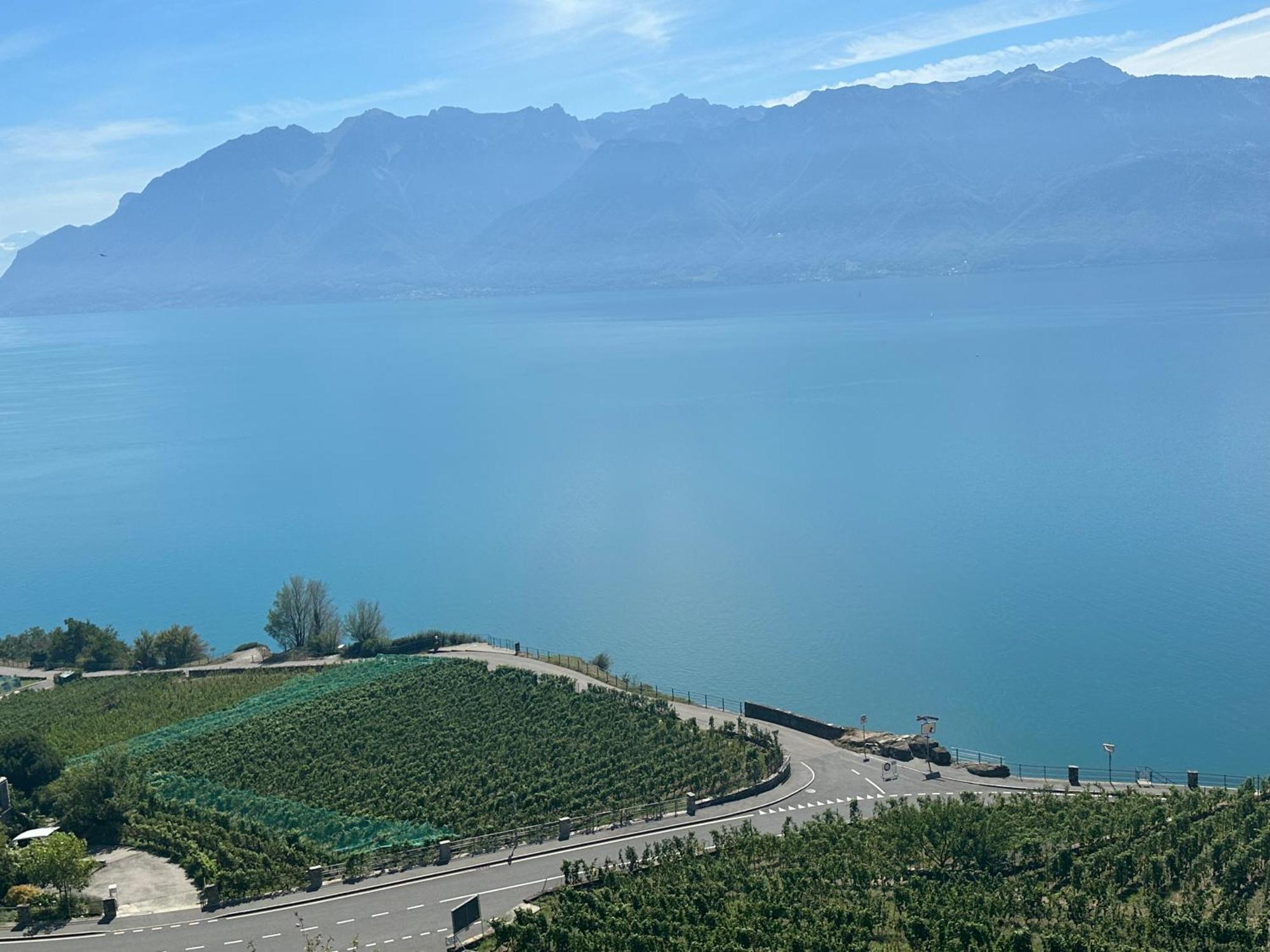 Room With 360° View Overlooking Lake Geneva And Alps Puidoux Экстерьер фото